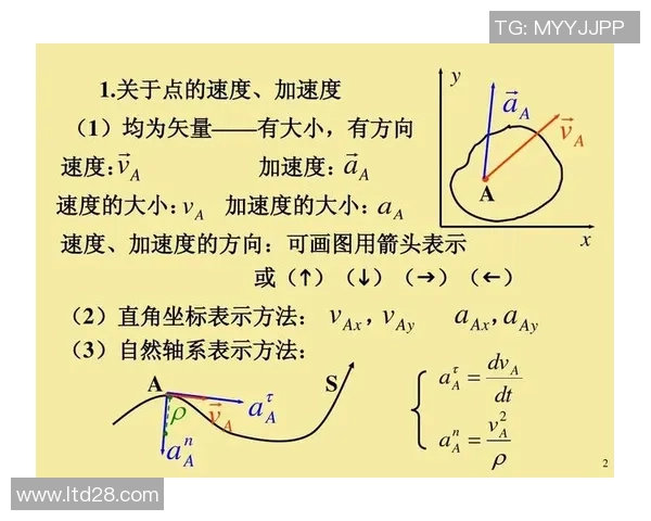 北京羽毛球队的速度分析与战术探讨助力竞技水平提升